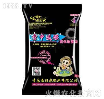 ΢�������-ѩ����̿-����r