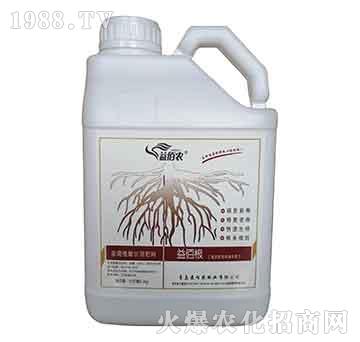 ��۸�-����r