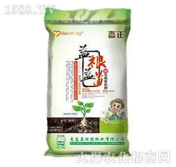 ΢�����ЙC��-�������-����r