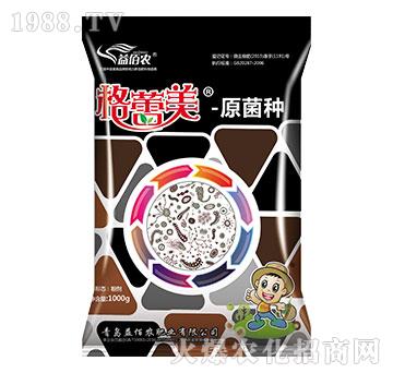 ������-ԭ���N-����r