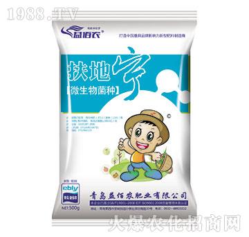 ΢������N-���،�-����r