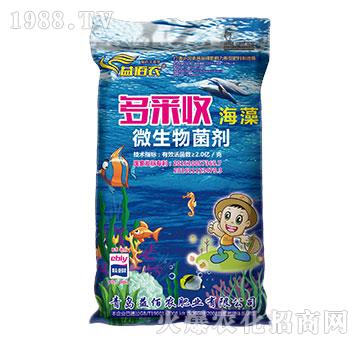 ΢�������-����պ���-����r