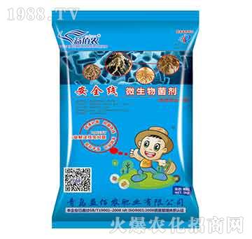 ΢�������-��ȫ��-����r