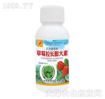 草莓拉長膨大素-美源化工