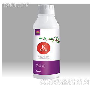 �����-��������