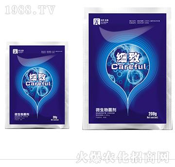 ΢�������-��(x��)��-��������