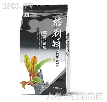 ΢�������-�݄x��-��������