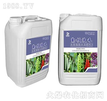 含腐殖酸水溶肥料II-勤投液禾-地康源生物