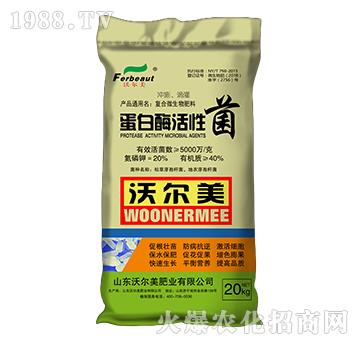 蛋白酶活性菌-沃爾美