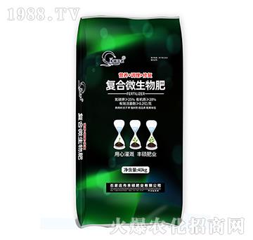 復(fù)合微生物肥料-豐碩肥業(yè)