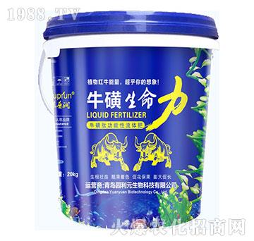 ����������-�@��Ԫ