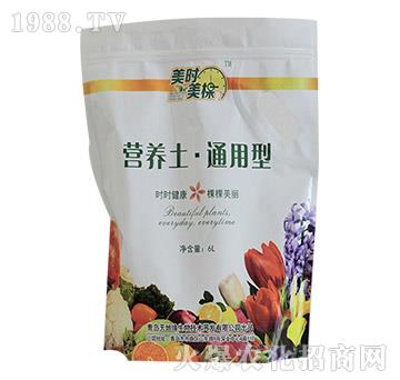 ͨ���͠I�B(y��ng)��-���r(sh��)����-��ؾ�����