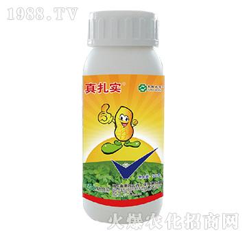 48%���x�����p��-������(sh��)-���r(n��ng)(li��n)��