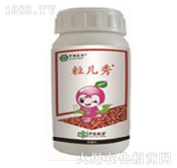 60��ÿ������-������-���r(n��ng)(li��n)��