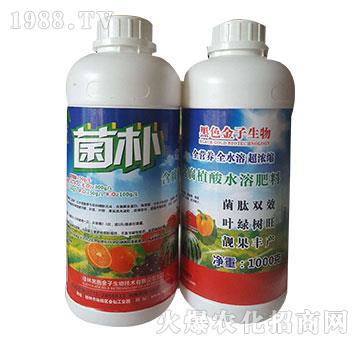 含腐植酸水溶肥料-菌樸-黑色金子