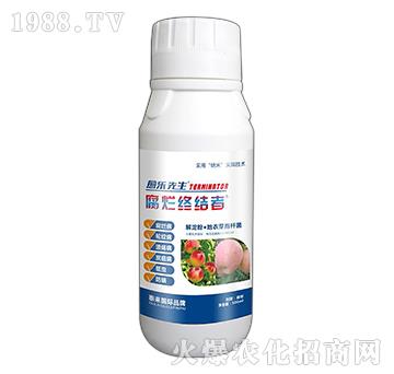 ����ۡ�����ѿ�ߗU��-�����K�Y(ji��)��-��������-̩��