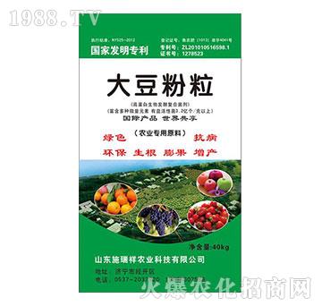 �󶹷���-ʩ����