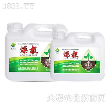 ����2-�����r(n��ng)�I(y��)