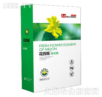 鮮花素-花西施-民德利華