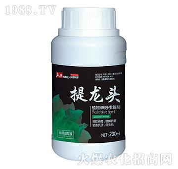 ֲ�：���ޏ�(f��)��-�����^-������A