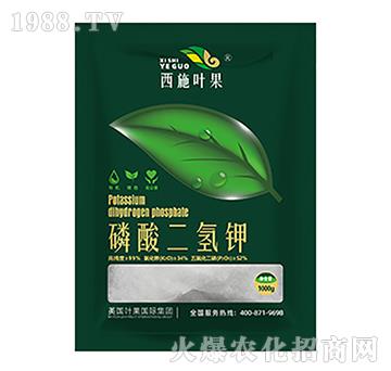 ��������-�~������