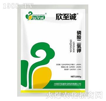 1000g��������-�����\(ch��ng)