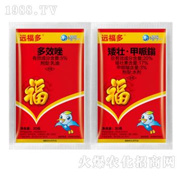 ���������{(di��o)��(ji��)��-�h����-��������