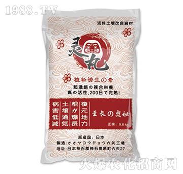 ֲ���T����-�`��-��ʢ����