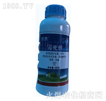 45%������-�-�\ʢ����