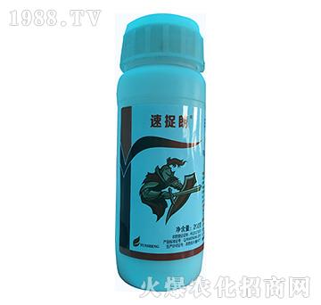 12%�׾S���x����-��׽��-�\ʢ����