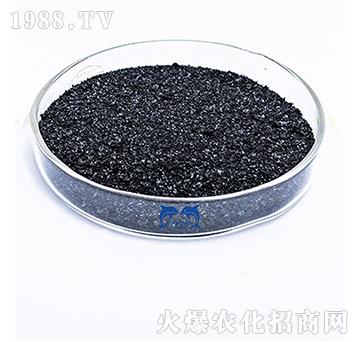 ��ֲ���-���L�`