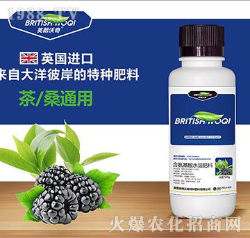 ��ɣ���ú�������ˮ�ܷ���-Ӣ������