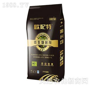 ΢�������-�W����-��������