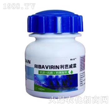 利芭威霖-奕小寶-金滿園生物