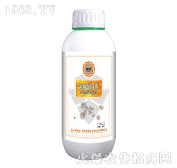 �Ǵ��}-����-̩����