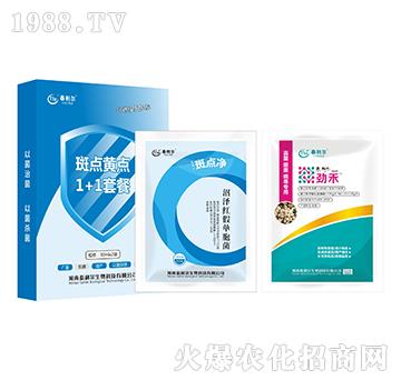 ���c�S�c1+1�ײ�-̩����