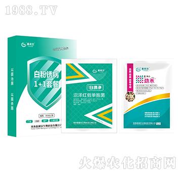 �׷��P��1+1�ײ�-̩����