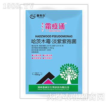 ����ľù���������߾�-˪��ͨ-̩����