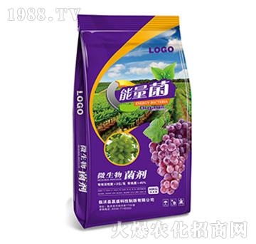 ���ь�(zhu��n)��΢�������-��(r��n)�f(w��n)���r(n��ng)�I(y��)