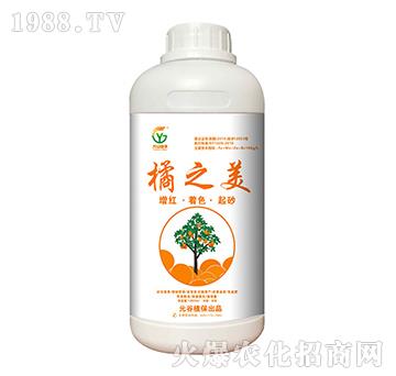 ��֮��-Ԫ��ֲ��