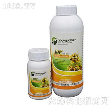 含氨基酸水溶肥料-肽生（促花保花）-綠量