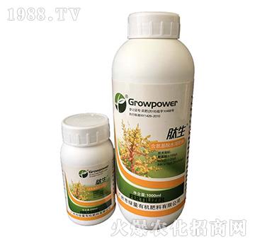 含氨基酸水溶肥料-肽生（瓶）-綠量