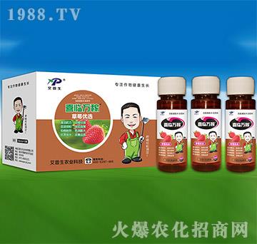 ��ݮ��(y��u)�x-ϲ�R�f��-������