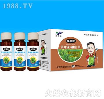 ���~��ѿ��ѿ�`-�ֹܼ�-������