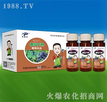 ���у�(y��u)�x-ϲ�R�f(w��n)��-������