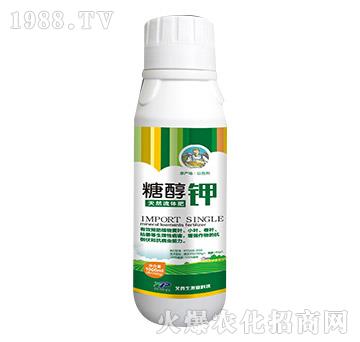 1000ml�Ǵ��-������