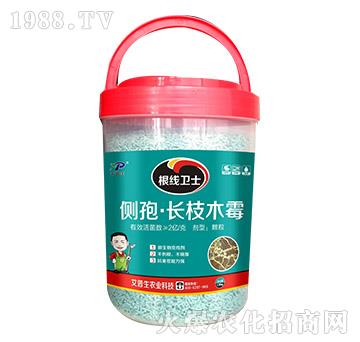 �����l(w��i)ʿ-������