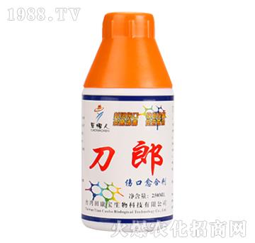 傷口愈合劑-刀郎-草帽人-田康保