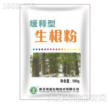 �����������-�p������