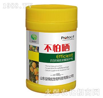 �������ЙCƤĤ���o��-����-��ֲ��(y��u)